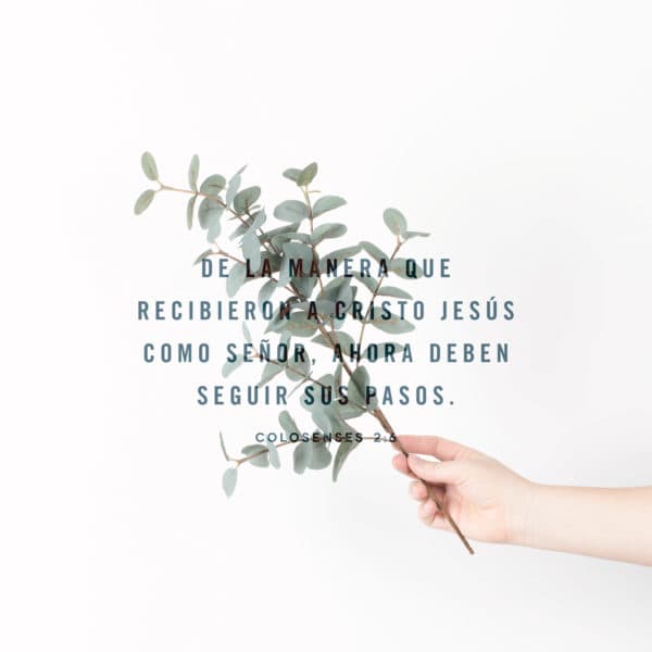 De la manera que recibieron a Cristo Jesús como Señor, ahora deben seguir sus pasos. - Colosenses 2:6