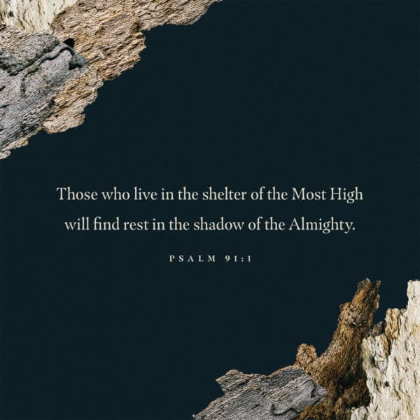 Those who live in the shelter of the Most High will find rest in the shadow of the Almighty. - Psalm 91:1