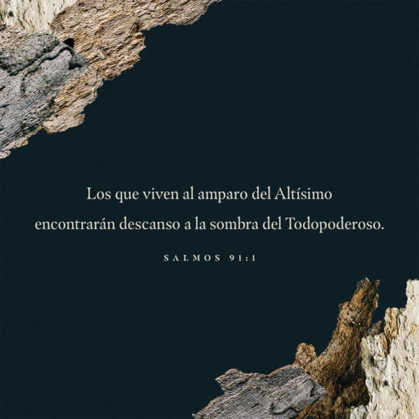 Los que viven al amparo del Altísimo encontrarán descanso a la sombra del Todopoderoso. - Salmos 91:1