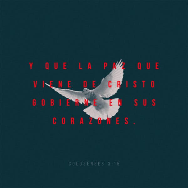 Y que la paz que viene de Cristo gobierne en sus corazones. - Colosenses 3:15