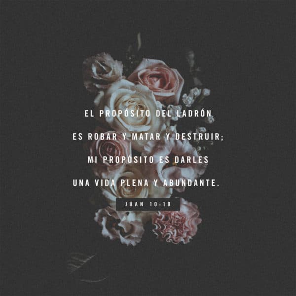 El propósito del ladrón es robar y matar y destruir; mi propósito es darles una vida plena y abundante. Juan 10:10