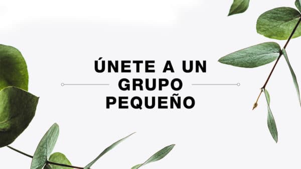 Únete a un grupo pequeño