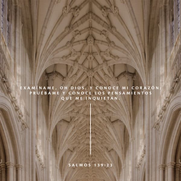 Examíname, oh Dios, y conoce mi corazón; pruébame y conoce los pensamientos que me inquietan. - Salmos 139:23