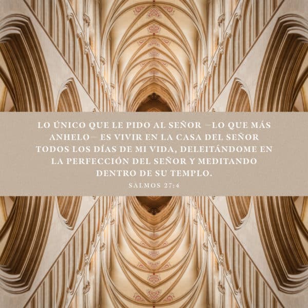 Lo único que le pido al Señor —lo que más anhelo— es vivir en la casa del Señor todos los días de mi vida, deleitándome en la perfección del Señor y meditando dentro de Su templo. - Salmos 27:4