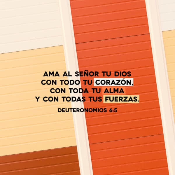 Ama al Señor Tu Dios con todo tu corazón, con toda tu alma y con todas tus fuerzas. - Deuteronomios 6:5