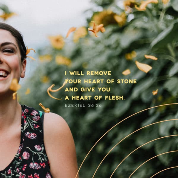 I will remove your heart of stone and give you a heart of flesh. - Ezekiel 36:26