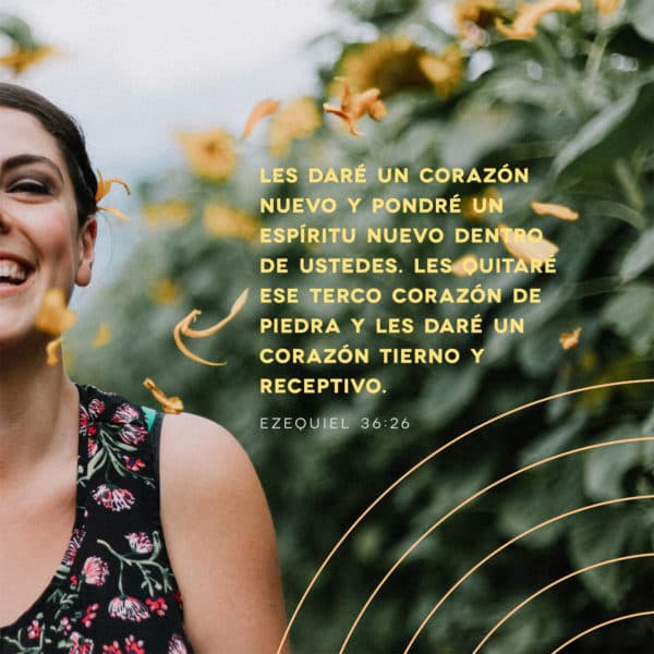 Les daré un corazón nuevo y pondré un espíritu nuevo dentro de ustedes. Les quitaré ese terco corazón de piedra y les daré un corazón tierno y receptivo. - Ezequiel 36:26
