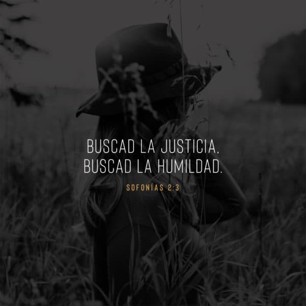 Buscad la justicia, buscad la humildad. - Sofonías 2:3