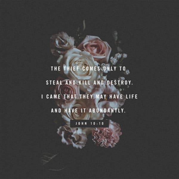 The thief comes only to steal and kill and destroy. I came that they may have life and have it abundantly. - John 10:10