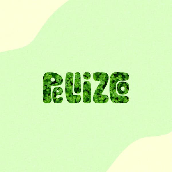Pellizco