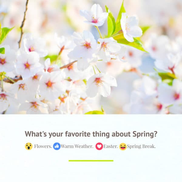 What's your favorite thing about Spring? Flowers. Warm weather. Easter. Spring Break.