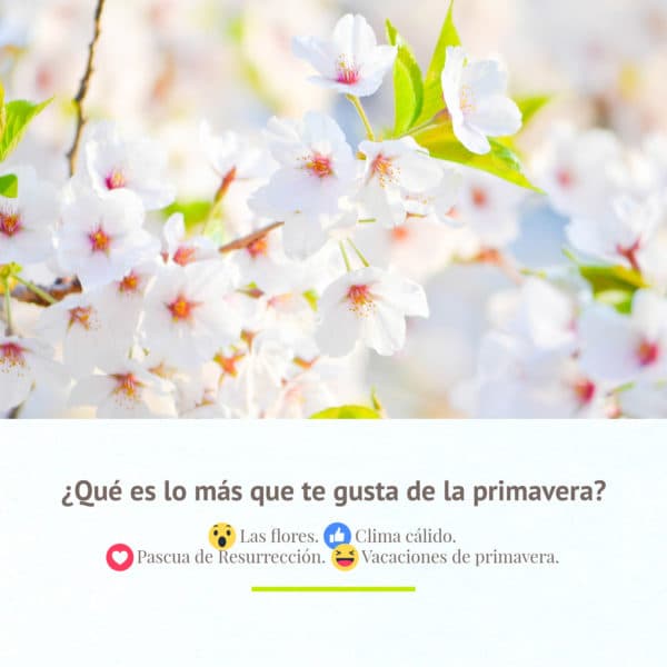 ¿Qué es lo más que te gusta de la primavera?