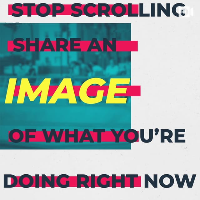 Stop scrolling. Share an image of what you're doing right now.