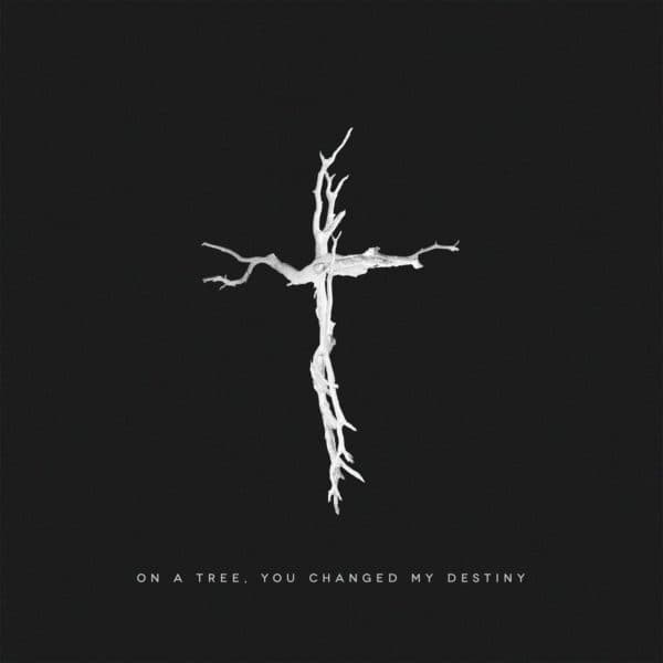 On a tree, You changed my destiny