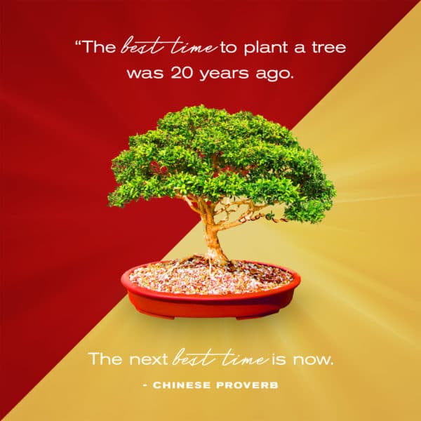 The best time to plant a tree was 20 years ago. The next best time is now. - Chinese Proverb