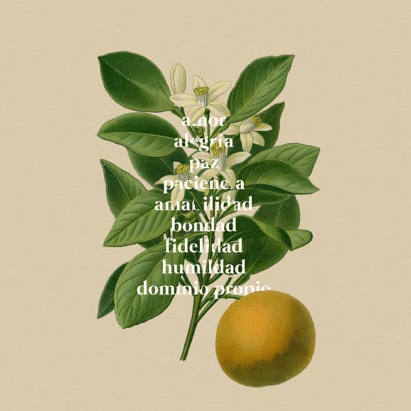 Amor, alegría, paz, paciencia, amabilidad, bondad, fidelidad, humildad, domínio propio