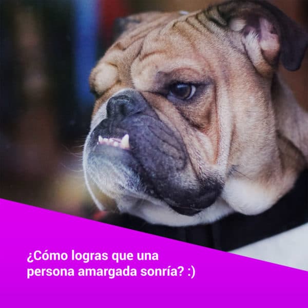 ¿Cómo logras que una persona amargada sonría?