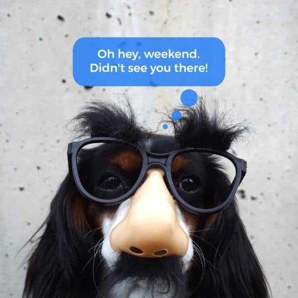 Oh hey, weekend. Didn't see you there!