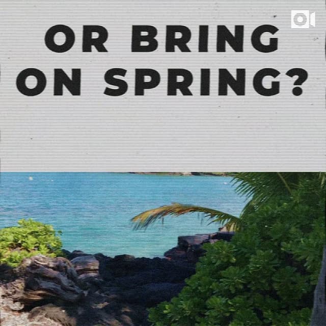 More winter or bring on spring?