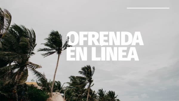 Ofrenda en línea