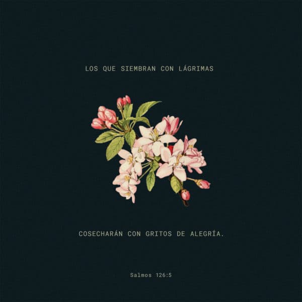 Los que siembran con lágrimas cosecharán con gritos de alegría. - Salmos 126:5