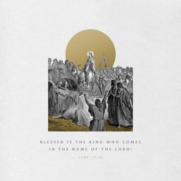 Blessed is the king who comes in the name of the Lord! - Luke 19:38