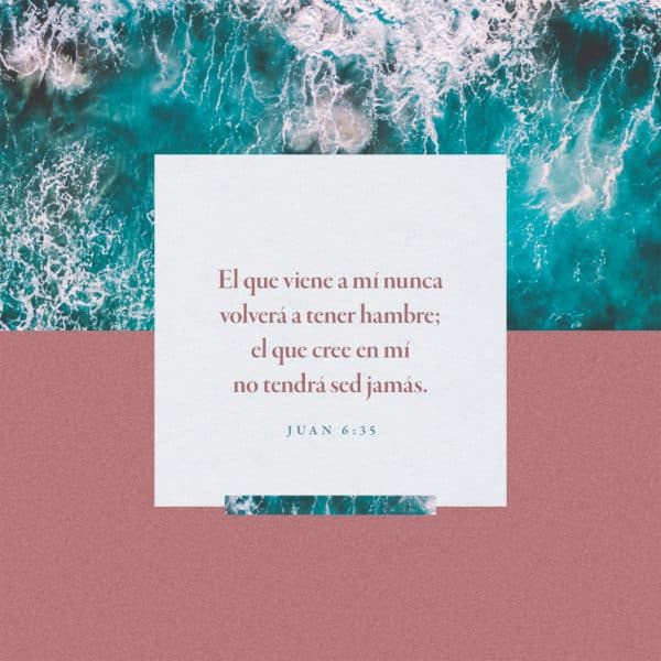 El que viene a mí nunca volverá a tener hambre; el que cree en mí no tendrá sed jamás. - Juan 6:35