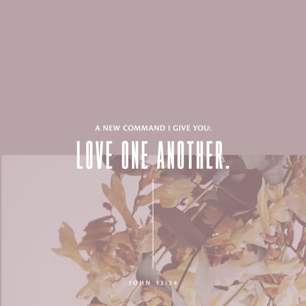 A new command I give you: Love one another. - John 13:34
