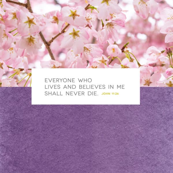 Everyone who lives and believes in me shall never die. - John 11:26