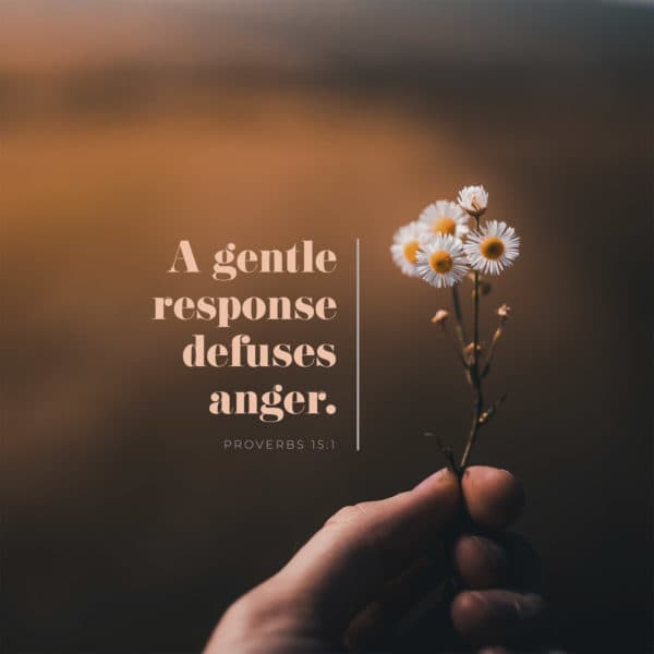 A gentle response defuses anger. - Proverbs 15:1