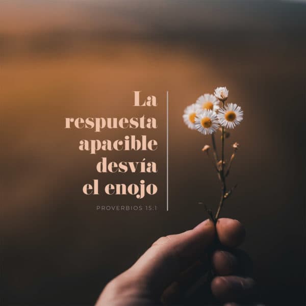 La respuesta apacible desvía el enojo - Proverbios 15:1