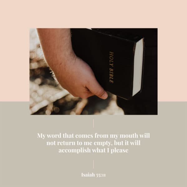 my word that comes from my mouth will not return to me empty, but it will accomplish what I please - Isaiah 55:11