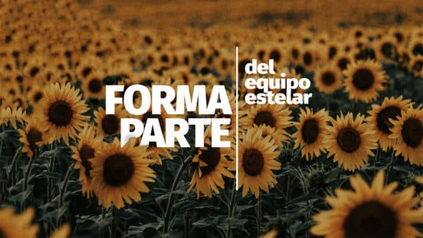Forma parte del equipo estelar
