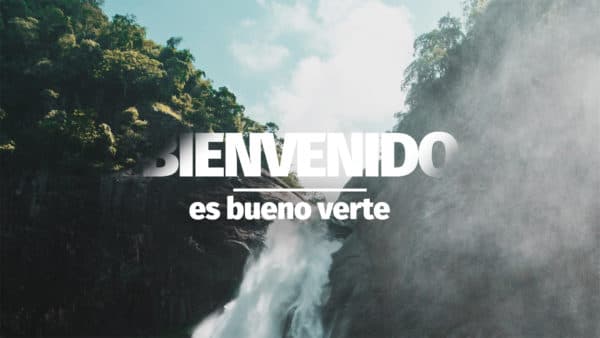 Bienvenido. Es bueno verte.