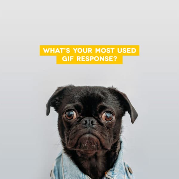 What's your most used gif response?