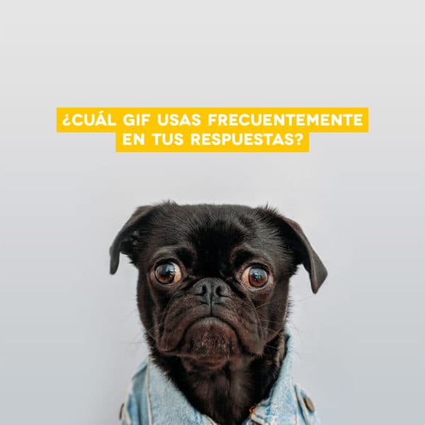 ¿Cuál gif usas frecuentemente en tus respuestas?