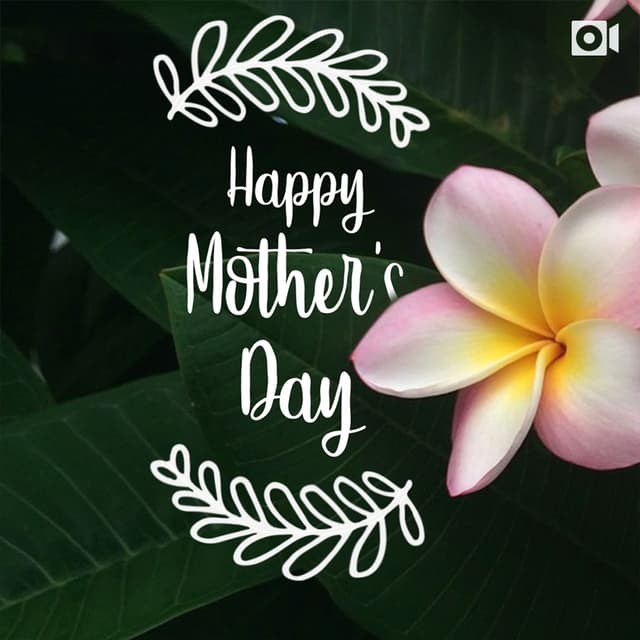 Happy Mother's Day