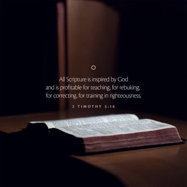 All Scripture is inspired by God and is profitable for teaching, for rebuking, for correcting, for training in righteousness, - 2 Timothy 3:16