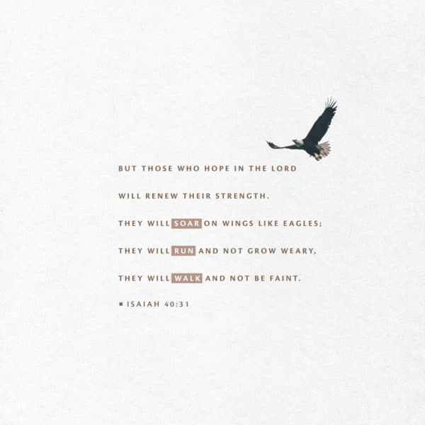 but those who hope in the LORD will renew their strength. They will soar on wings like eagles; they will run and not grow weary, they will walk and not be faint. - Isaiah 40:31