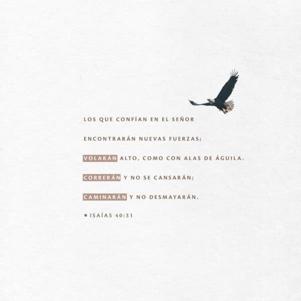 Los que confían en el Señor encontrarán nuevas fuerzas; volarán alto, como con alas de águila. Correrán y no se cansarán; caminarán y no desmayarán.' - Isaías 40:31