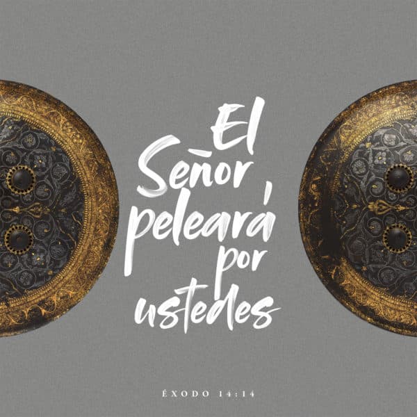 El Señor peleará por ustedes. - Éxodo 14:14