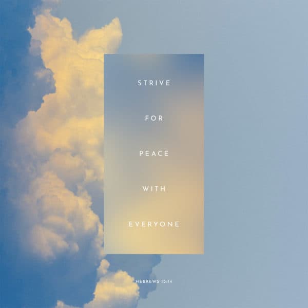 Strive for peace with everyone - Hebrews 12:14