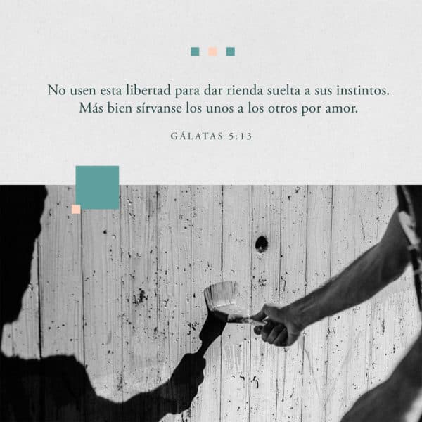 No usen esta libertad para dar rienda suelta a sus instintos. Más bien sírvanse los unos a los otros por amor. - Gálatas 5:13