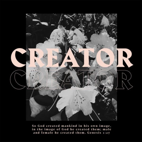 Creator. So God created mankind in his own image, in the image of God he created them; male and female he created them. - Genesis 1:27
