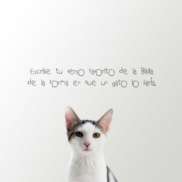 Escribe tu verso favorito de la Biblia de la forma en que un gato lo haría