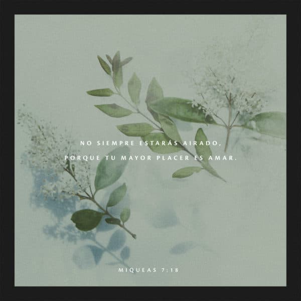 No siempre estarás airado, porque Tu mayor placer es amar. - Miqueas 7:18