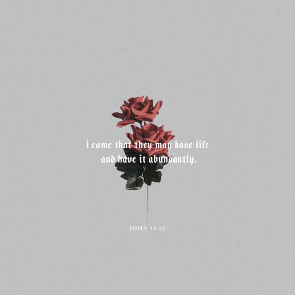 I came that they may have life and have it abundantly. - John 10:10
