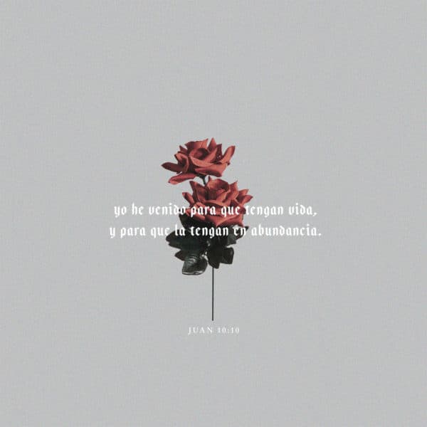 yo he venido para que tengan vida, y para que la tengan en abundancia. - Juan 10:10