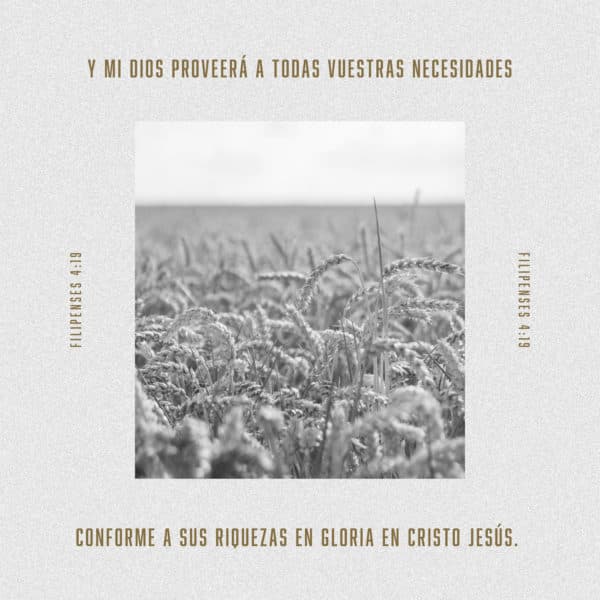 Y mi Dios proveerá a todas vuestras necesidades, conforme a sus riquezas en gloria en Cristo Jesús. - Filipenses 4:19