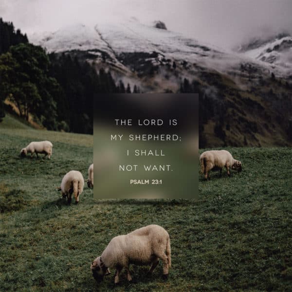 The LORD is my shepherd; I shall not want. - Psalm 23:1